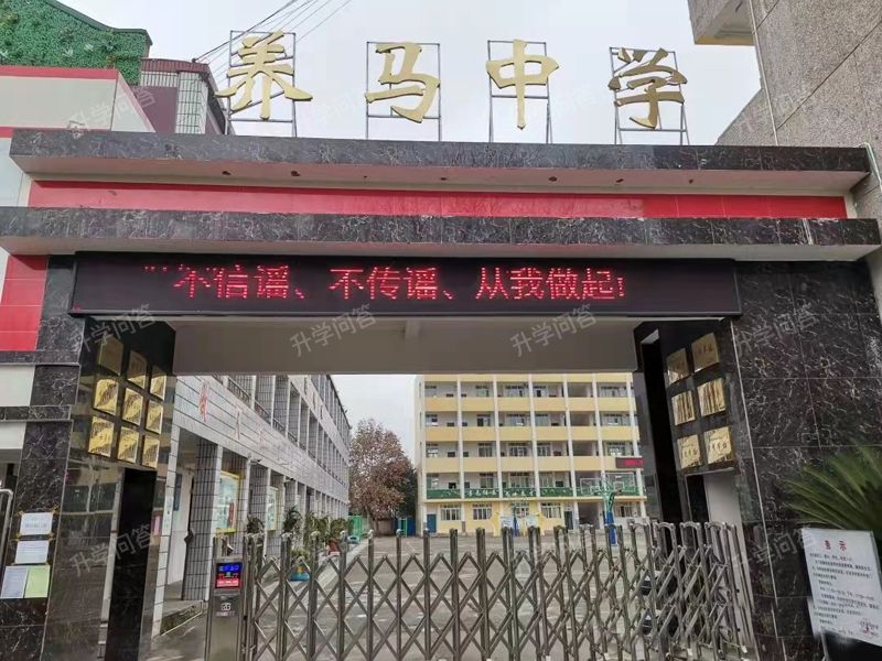 成都东部新区养马高级中学